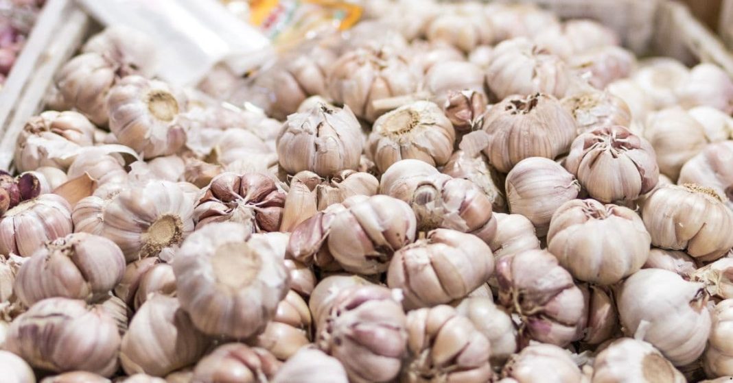 Garlic Garlic