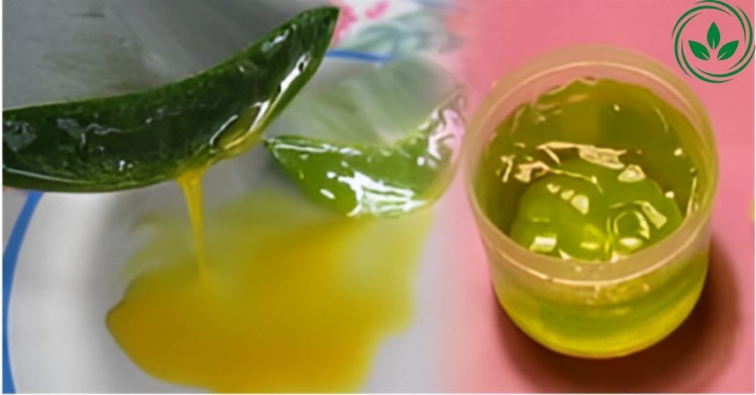 karabadini karabadini