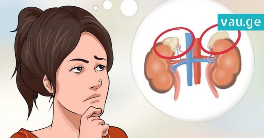 karabadini karabadini