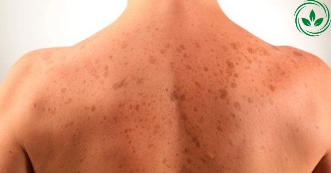 karabadini karabadini