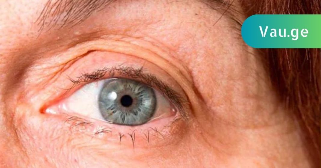 karabadini karabadini