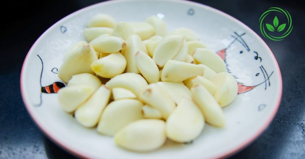 karabadini karabadini
