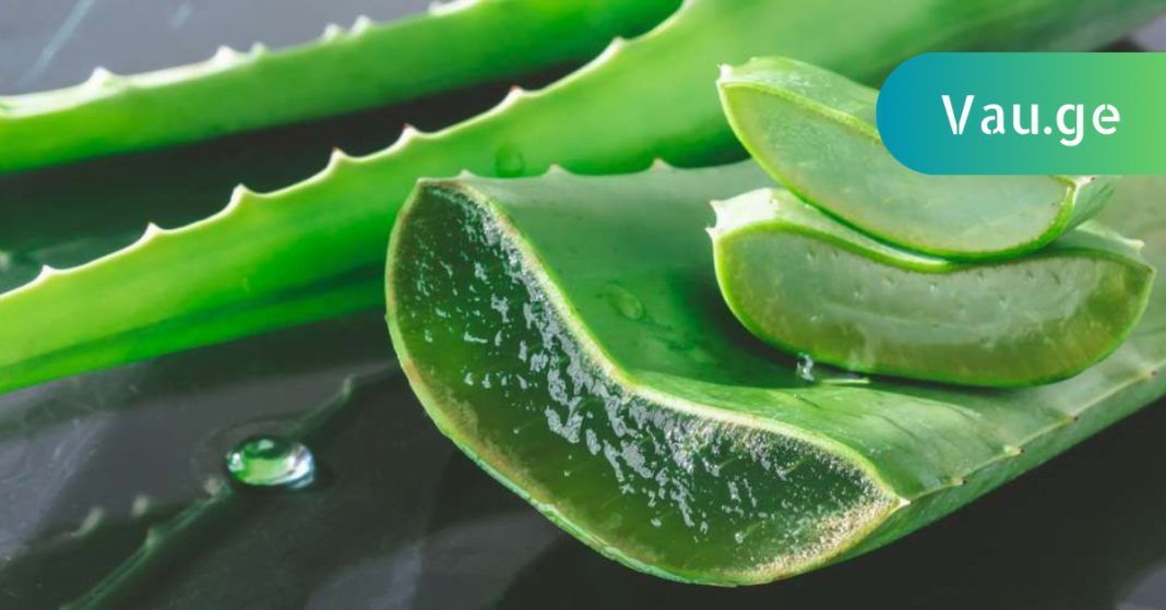 karabadini karabadini