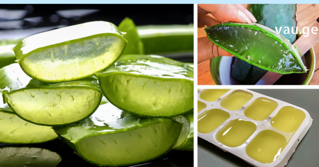 karabadini karabadini