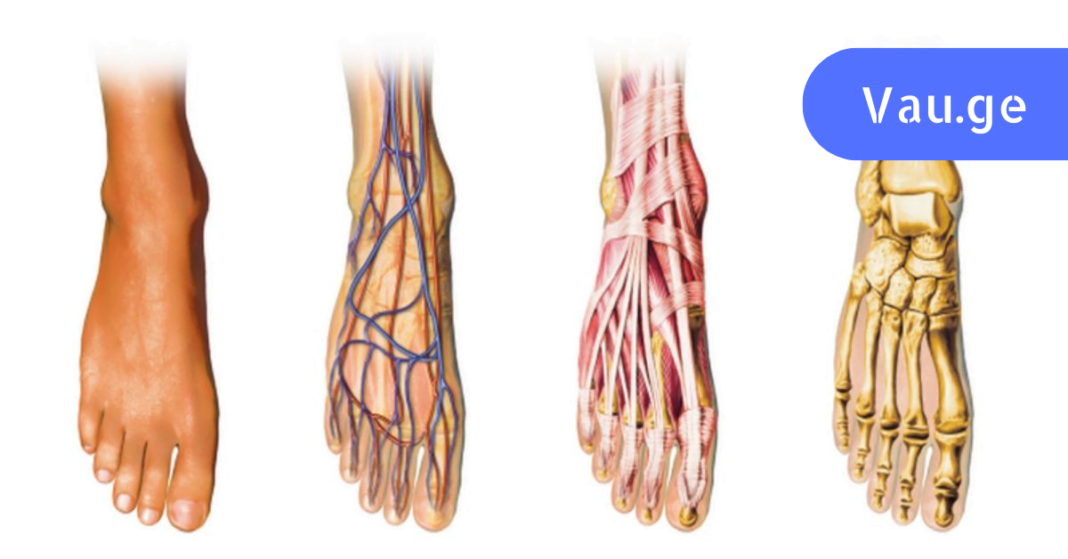 karabadini karabadini