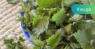 karabadini karabadini