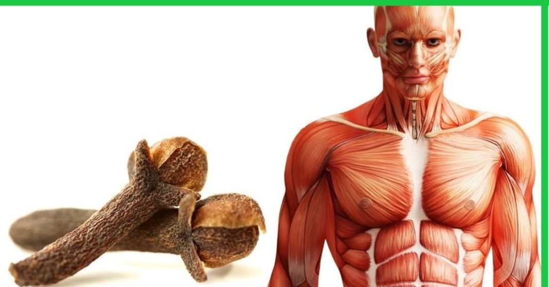 karabadini karabadini