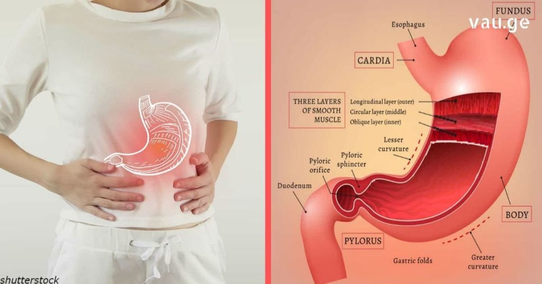 karabadini karabadini