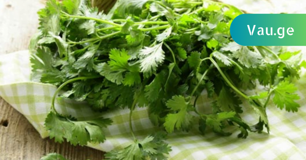 karabadini karabadini