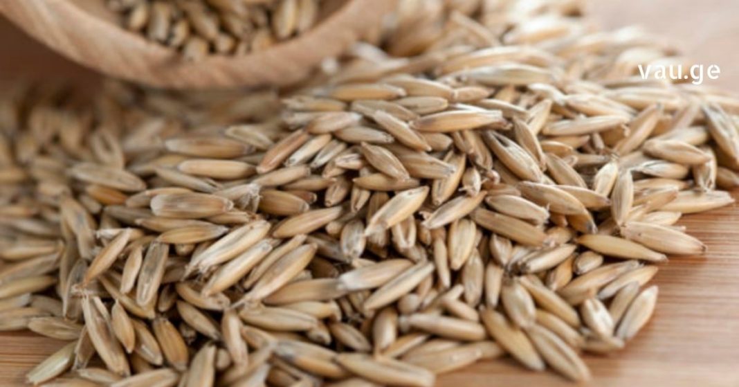 karabadini karabadini