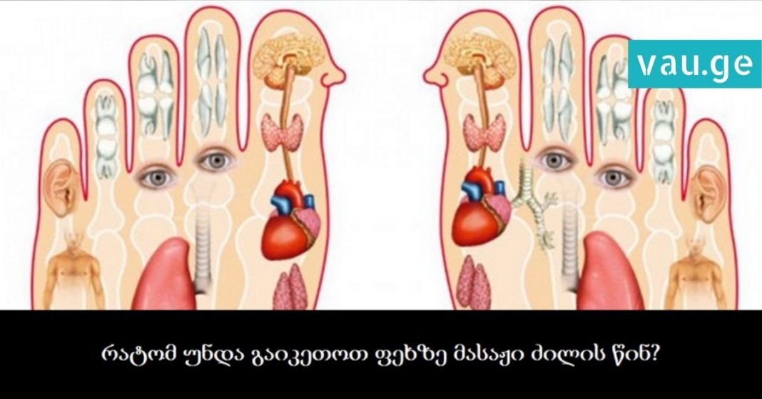 karabadini karabadini