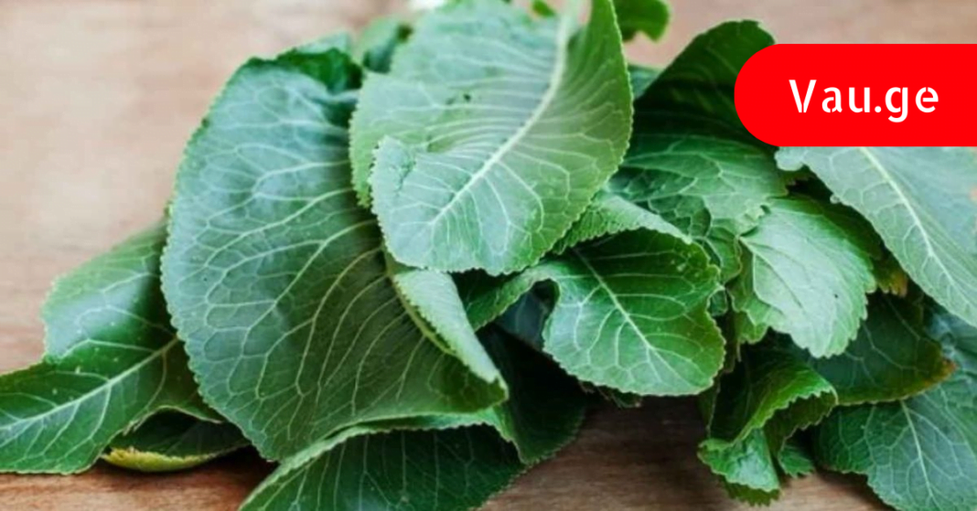 karabadini karabadini