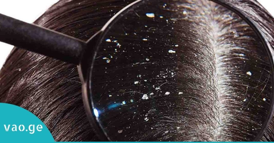 karabadini karabadini