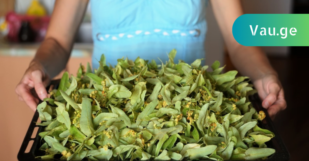 karabadini karabadini