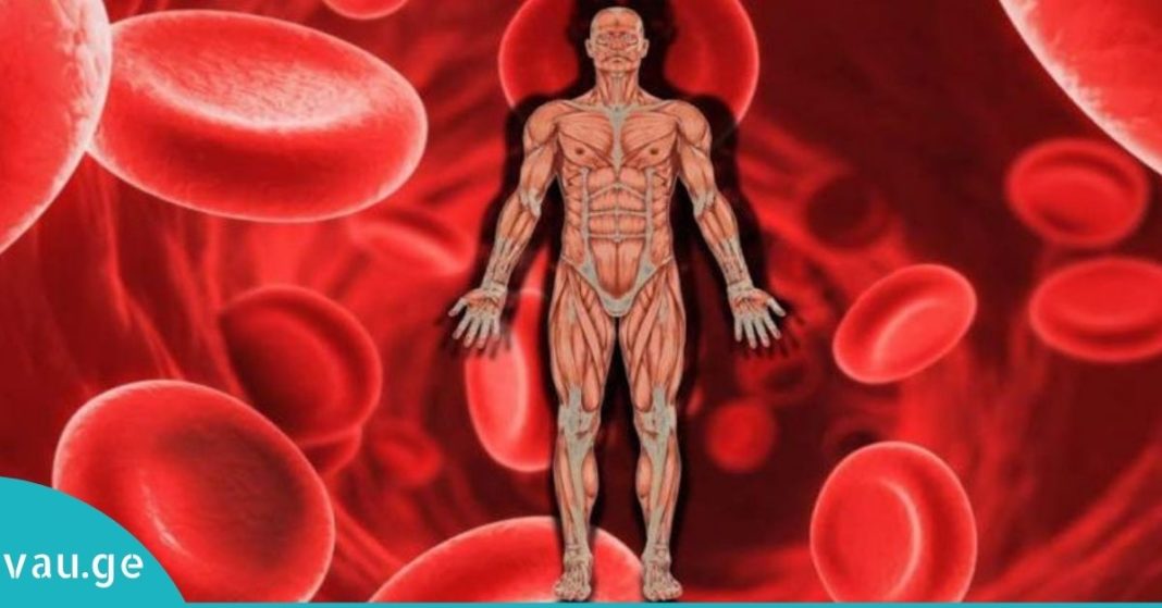 karabadini karabadini