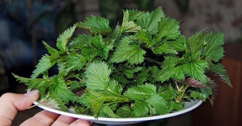 karabadini karabadini