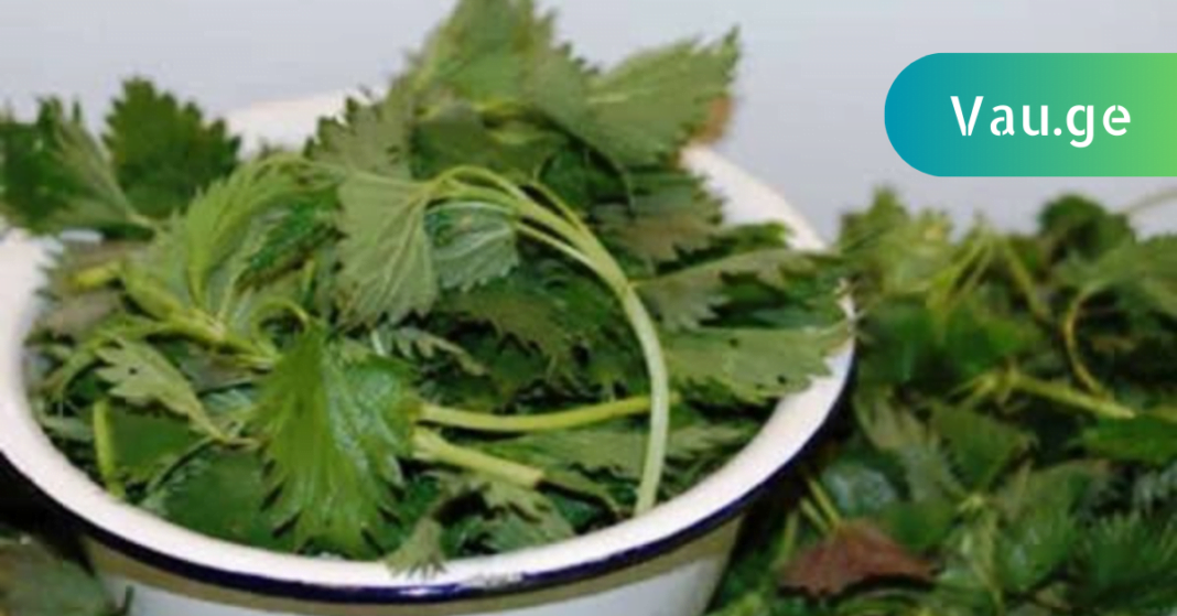 karabadini karabadini