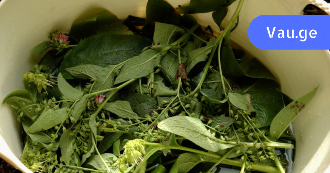 karabadini karabadini