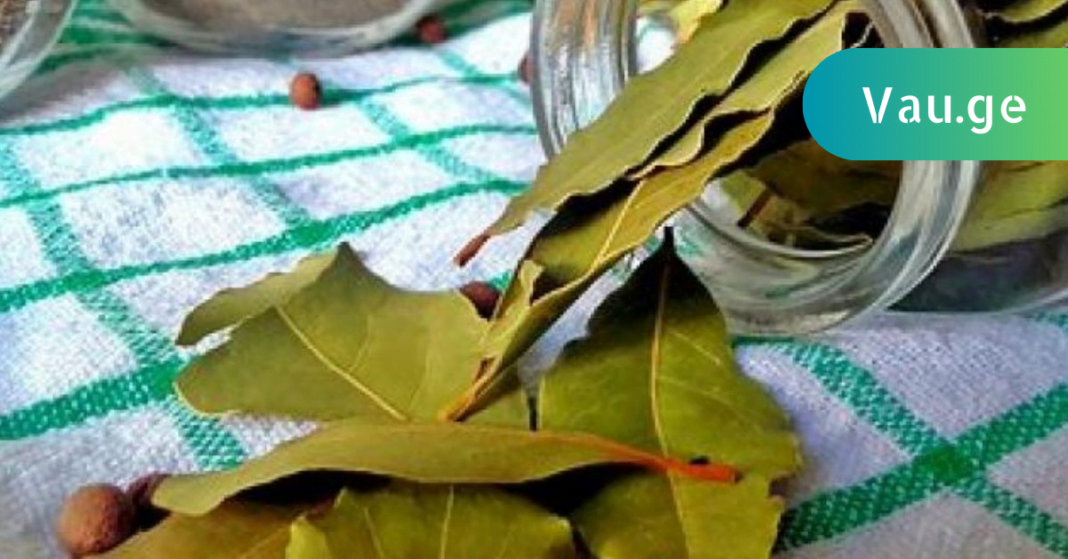 karabadini karabadini