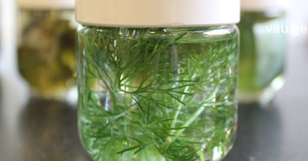 karabadini karabadini