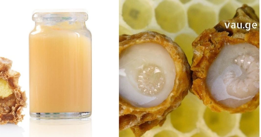 karabadini karabadini