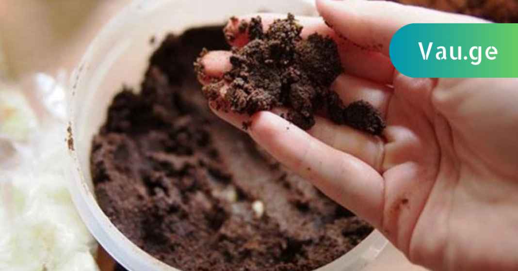 karabadini karabadini