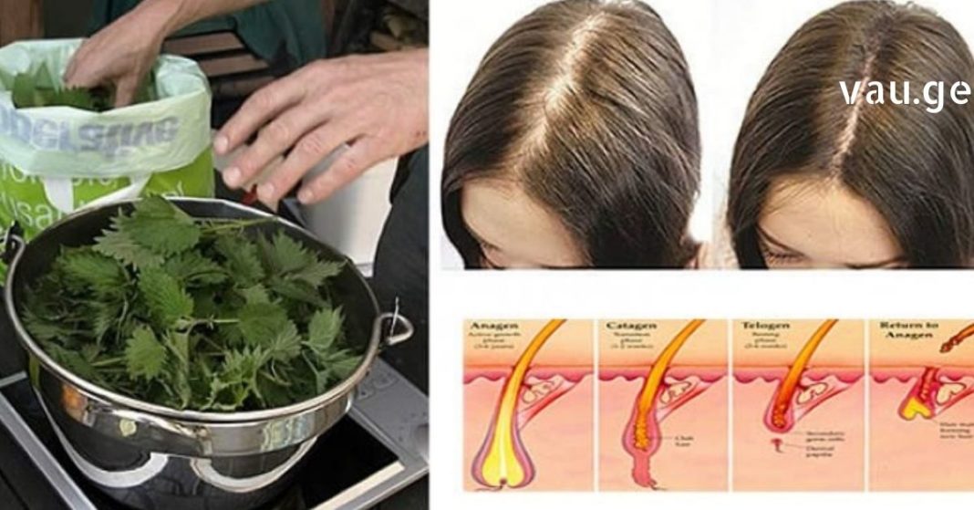 karabadini karabadini