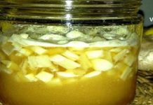 This Ancient German Remedy Cleans the Arteries, Strengthens the Immune System, and Reduces Cholesterol – Truly Amazing! karabadini