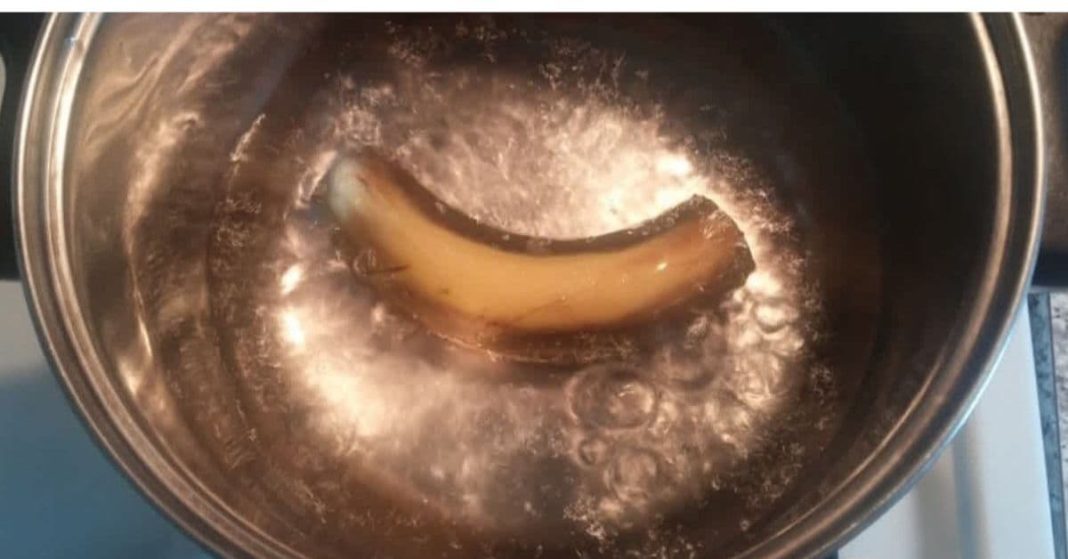 ana xalxuri (13) (1)