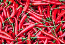 Nature’s Strongest Painkillers: Effective Relief Without Medication