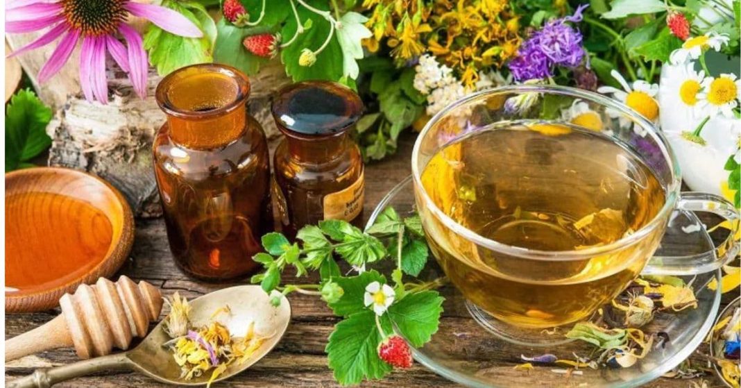 ana xalxuri (74) (1)