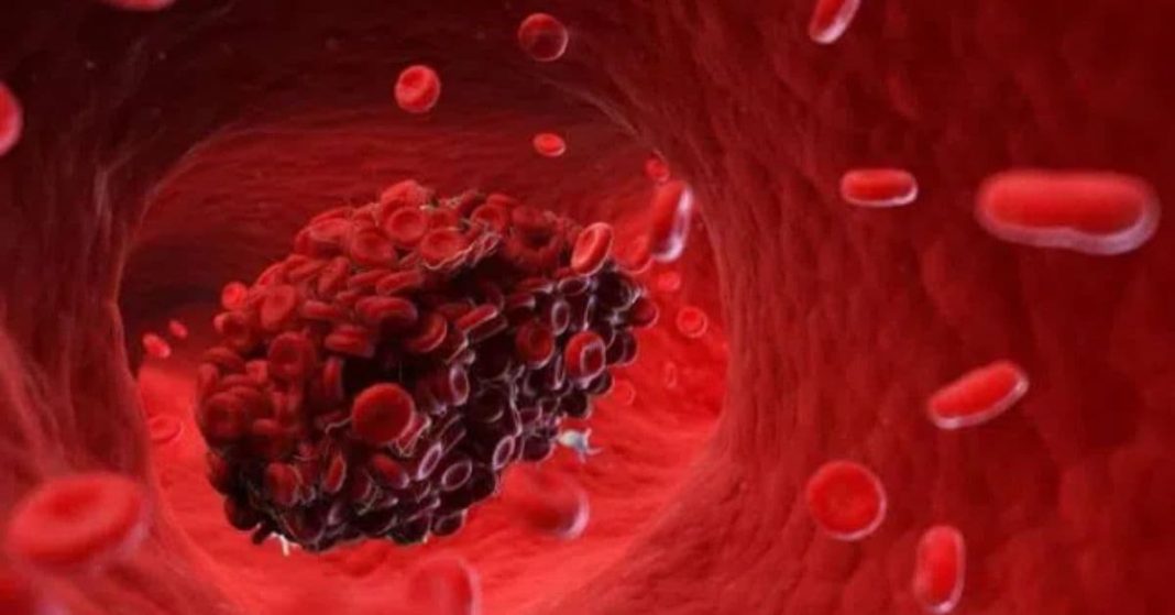 ana xalxuri (91) (1)