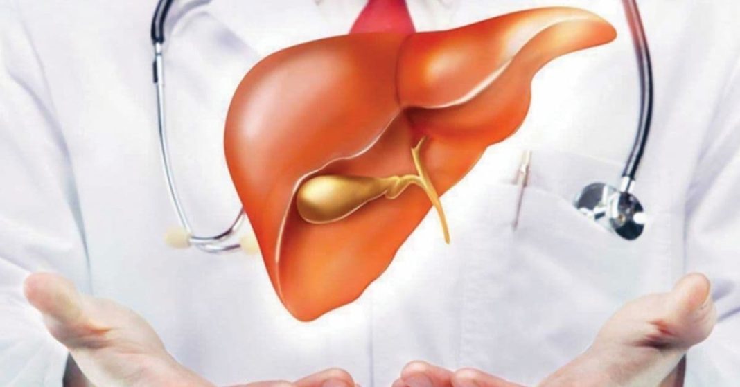 ana xalxuri - 2026-01-09T124107.087 (1)